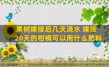 果树嫁接后几天浇水 嫁接20天的柑橘可以用什么肥料